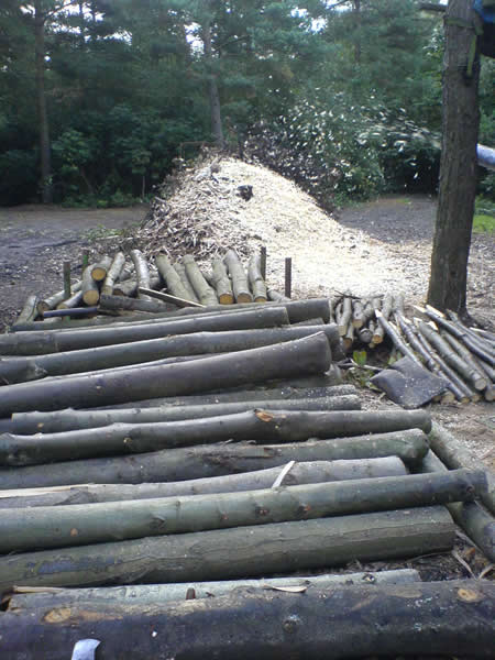 Sourcing Wood for Bridge Outdoor Structure - Forest Woodcraft bespoke Kent Carpentry and Joinery